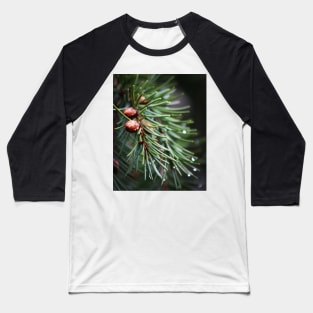 Fir tree Baseball T-Shirt